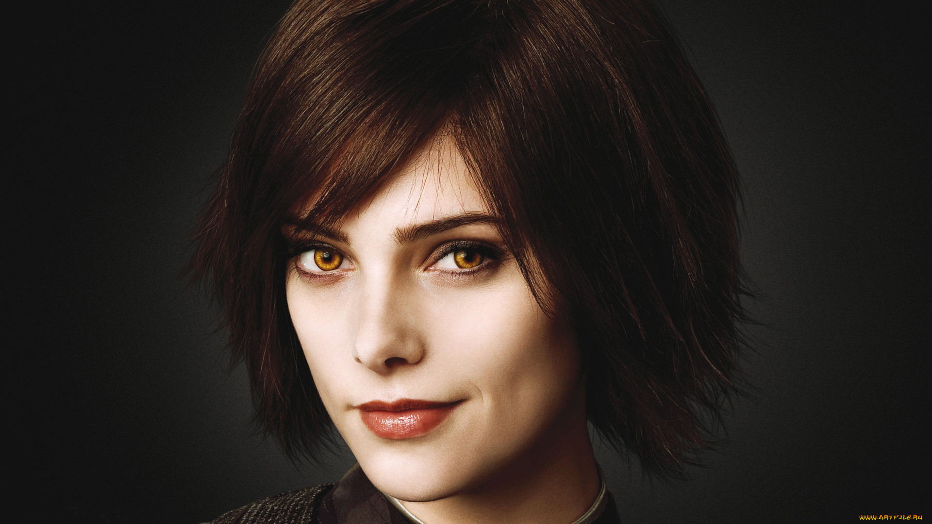  , the twilight saga,  breaking dawn part 2, 